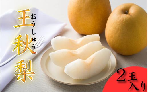 【先行予約】中野農園 梨 ”王秋梨” 2玉入り｜鳥取 岩美 梨 なし ナシ 赤梨 果物 フルーツ【41015】