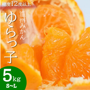 厳選 糖度12度以上!温州みかん「ゆらっ子」　5kg(サイズS～L)【2025年12月～順次発送】【1218291】