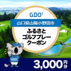 【山口県山陽小野田市】GDOふるさとゴルフプレークーポン(3,000円分)