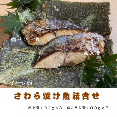 
静岡県御前崎産『本さわら漬け魚詰合せ』【1120326】
