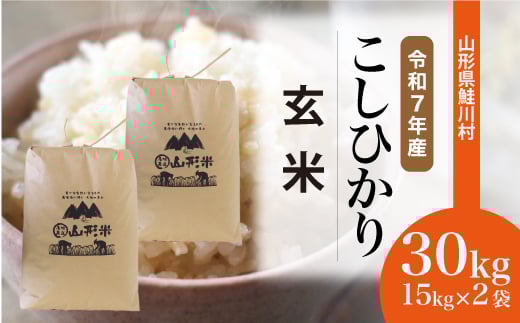 ＜令和7年産米＞ 鮭川村 こしひかり 【玄米】 30kg （15kg×2袋）＜配送時期選べます＞【沖縄県・離島への配送不可】