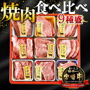 【ふるさと納税】＜宮崎牛焼肉9種盛（約630g）＞※入金確認後、翌月末迄に順次出荷します 牛肉 和牛 黒毛和牛 肩ロース モモ ウデ うで 赤身 霜降り 国産 食べ比べ バーベキュー 食べ比べ 株式会社エムツー 国富店 宮崎県 国富町【冷凍】