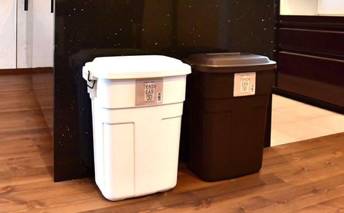トラッシュカン ゴミ箱 ふた付き 30L ホワイト 2個組 / ダストボックス ゴミ箱 ごみ箱 / 恵那市 / 東谷株式会社 明智流通センター [AUAD069]