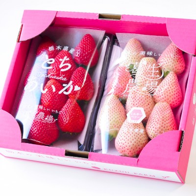 【春いちご】紅白いちご(とちあいか、ミルキーベリー)詰め合わせ(300g×1パックずつ)【配送不可地域：離島】