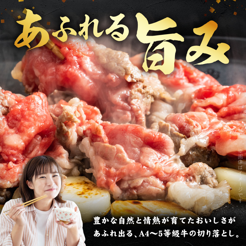 S074-016-T03_【定期便3回】天草黒牛 モモ・スネ肉 切り落とし約500g(250g×2P） 黒毛和牛 A4〜5等級