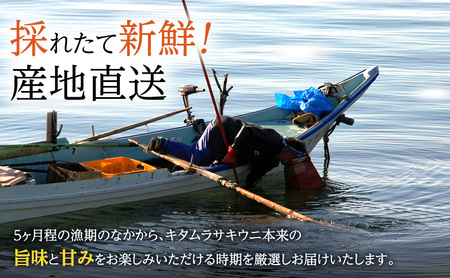 【礼文島リボンプロジェクト】北海道 礼文島産 採れたて キタムラサキウニ 塩水パック 50g×5 生うに 生ウニ 塩水うに 魚貝類 雲丹