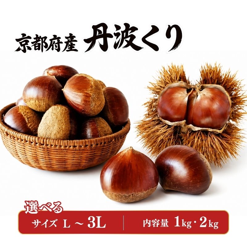 【ふるさと納税】 先行予約 2026年度産 丹波くり 約1～2kg L～3Lサイズ (選べるサイズ・内容量) 京都府産 栗 大粒 秋 旬 味覚 くり 国産 丹波ぐり 丹波栗 生栗 生ぐり 和栗 生くり 丹波地域 マロン JA 京都 京都府