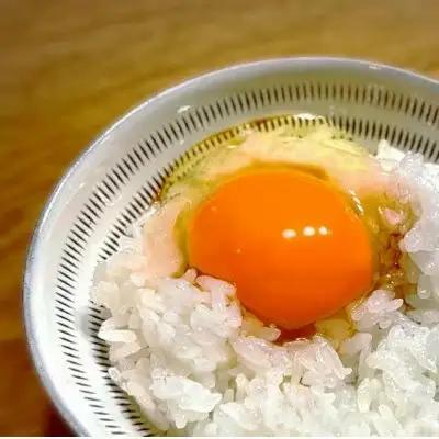 ＜令和7年産＞ 元気つくし 無洗米 2合 真空パック 35袋【ご飯 米 お米 小分け 筑前町 福岡県 AB003】
