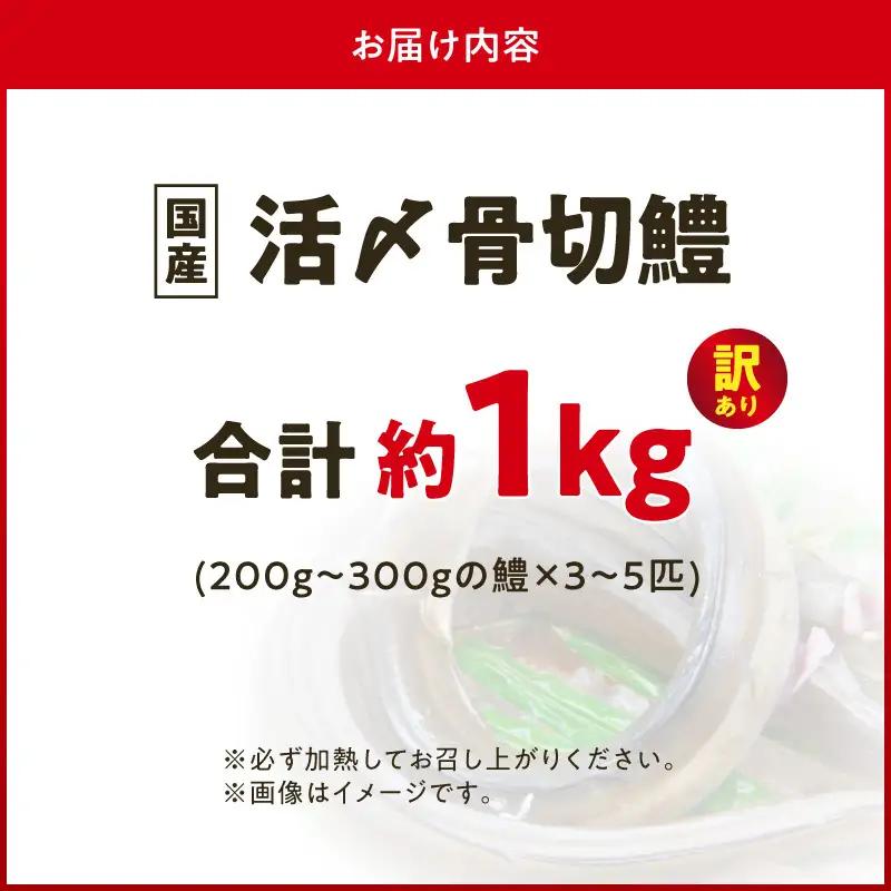 【訳アリ・業務用】活〆 加熱用 国産 骨切鱧 約1kg （200g〜300g程の大きさの鱧を3〜5匹）_SD1009
