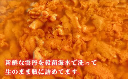 生紫うに 60g×1本 [JBD054] うに ウニ