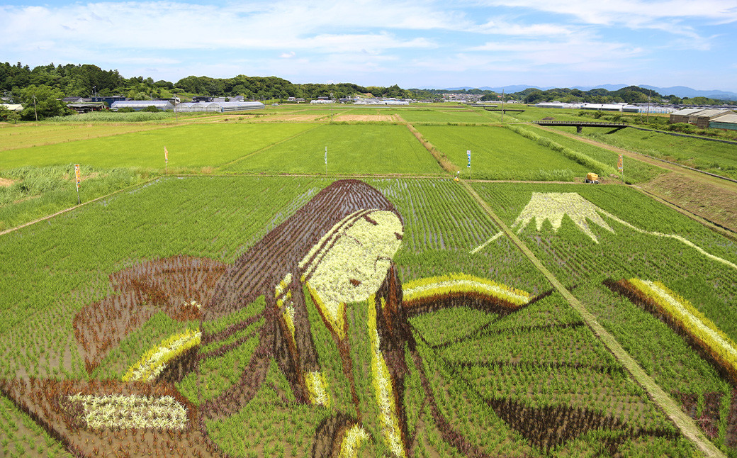 
                  静岡県 菊川市 日本旅行 地域限定 旅行 クーポン 60,000円分 旅行券 観光 宿泊 体験 トラベル クーポン 
                