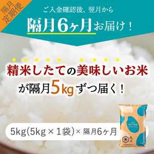 青天の霹靂　【隔月定期便6回】 5kg×6回（計30kg）米 白米 精米 青天の霹靂 定期便6回 米5kg 米30kg 青森 隔月配送 隔月定期便 ひと月おき コメ おこめ 五所川原 青森県産米 青天