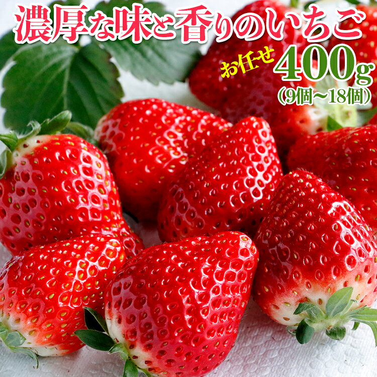 【ふるさと納税】濃厚な味と香りのいちご お任せ400g（9個〜18個）| 濃厚 香り とちおとめ いばらキッス やよい姫のいずれか デラックスパック 400g 朝摘み イチゴ 茨城県 常総市 ※2025年11月中旬〜2026年3月下旬頃に順次発送予定 年末年始 お中元 お歳暮 内祝い 快気祝い