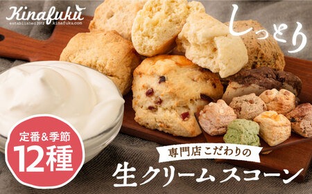 【自宅用】スコーンのイメージ変えてみませんか？定番＆季節の スコーン 12個セット 糸島 / スコーン専門店 キナフク 焼き菓子 焼菓子 洋菓子 スイーツ パン [AFA004]