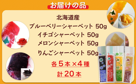 北海道 豊浦町 シャーベット 4種 味くらべ 各5本ずつ（ ブルーベリー、いちご、メロン、りんご ） 【 ふるさと納税 人気 おすすめ ランキング 果物 メロン めろん  果物 いちごイチゴ 苺 イチ