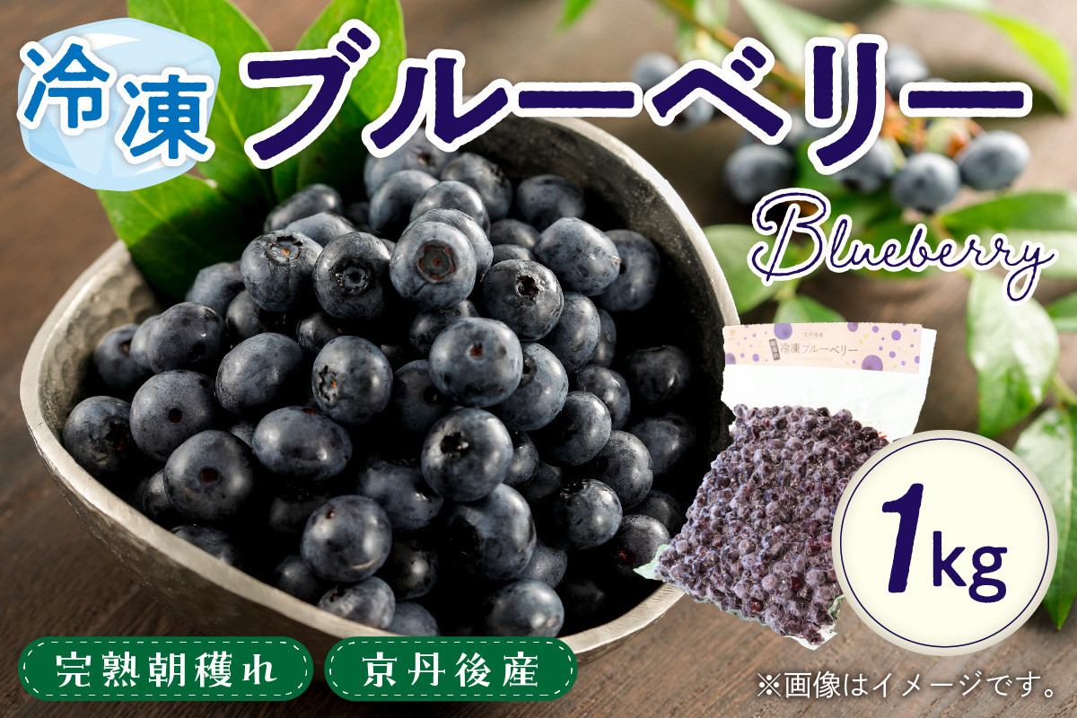 
            冷凍 ブルーベリー 1kg 国産ブルーベリー 美味しさそのまま摘みたてをハイブリッド冷凍  ブルーベリージャムに　ブルーベリー冷凍 京都京丹後産 ジャムやヨーグルトにおすすめ　HK00160
          