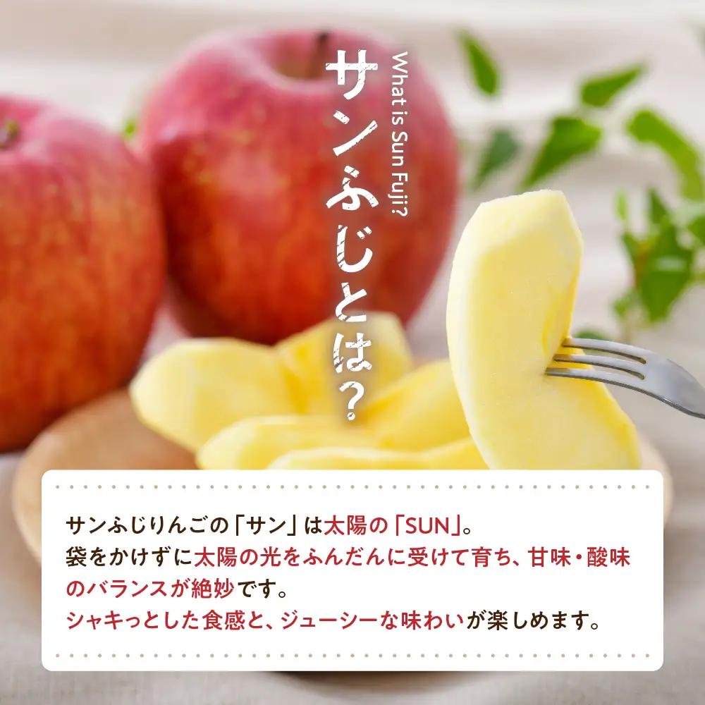 【2027年1月後半発送】 りんご 約10kg サンふじ 青森産 糖度 13度以上 贈答用 特選～特秀