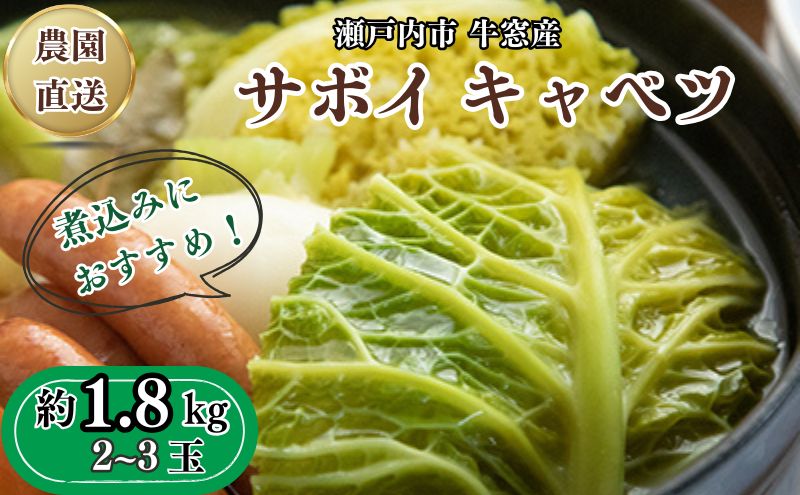  瀬戸内 牛窓産 サボイ キャベツ 約1.8kg（2～3玉） 野菜 サボイキャベツ 2～3kg前後 