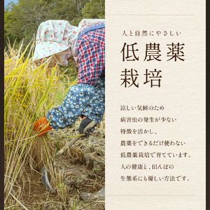 【9ヵ月定期便】北海道南るもい産【ななつぼし】(玄米)5kg R011-033