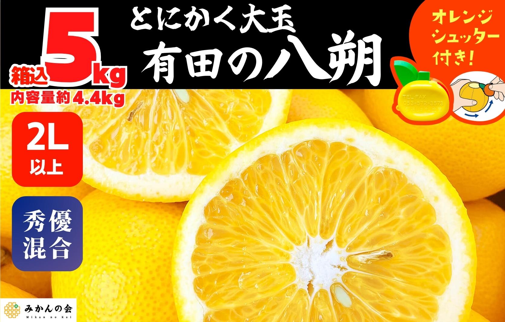 八朔 (はっさく) とにかく 大玉 どっこいしょ 箱込 5kg (内容量約 4.4kg) 秀品 優品 混合 2Lサイズ以上 和歌山県産  産地直送［おまけ付き］［みかんの会］