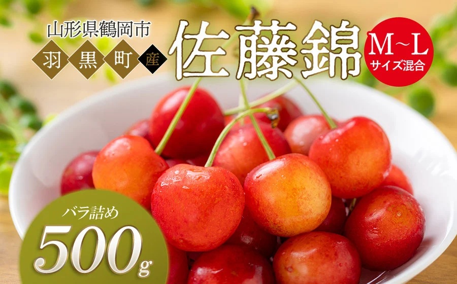 【令和8年産先行予約】さくらんぼ 佐藤錦 M～Lサイズ混合 バラ詰め 500g　庄内さくらんぼ園