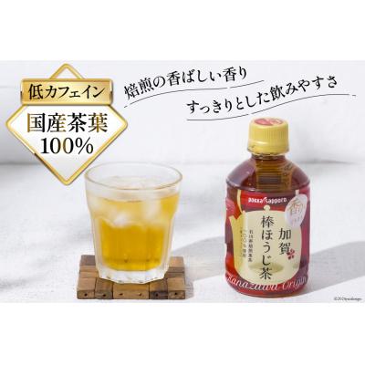 ふるさと納税 宝達志水町 ペットボトル 加賀 棒ほうじ茶 275ml 24本 5箱 計120本 [油谷製茶 38600751] |  | 01