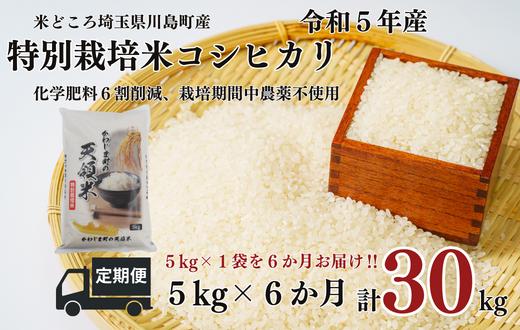 
定期便 6か月連続お届け 特別栽培米 コシヒカリ 白米 5kg （5kg×1袋）×6回 計30kg 食味値80以上 栽培期間中農薬不使用 有機肥料 かわじま町の天領米 令和5年産 2023年産 小分け 米 コメ 安心 安全 減農薬 埼玉県認証 埼玉県 川島町
