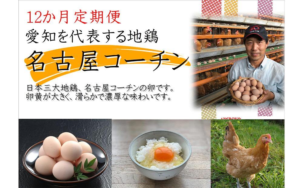 【12か月定期便】日本三大地鶏！！ 「純系　名古屋コーチンの卵」（30個） 本当に美味しい食べ物は調味料の味に負けません！ EE28-PR