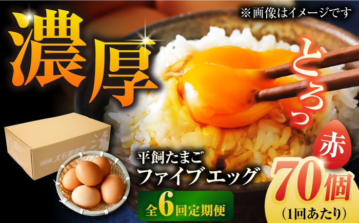 
            【全6回定期便】【箱入り】平飼たまご ファイブエッグ M～Lサイズ 70個 / 5EGG 卵 赤玉子五島市 / 五島列島大石養鶏場 [PFQ030]
          