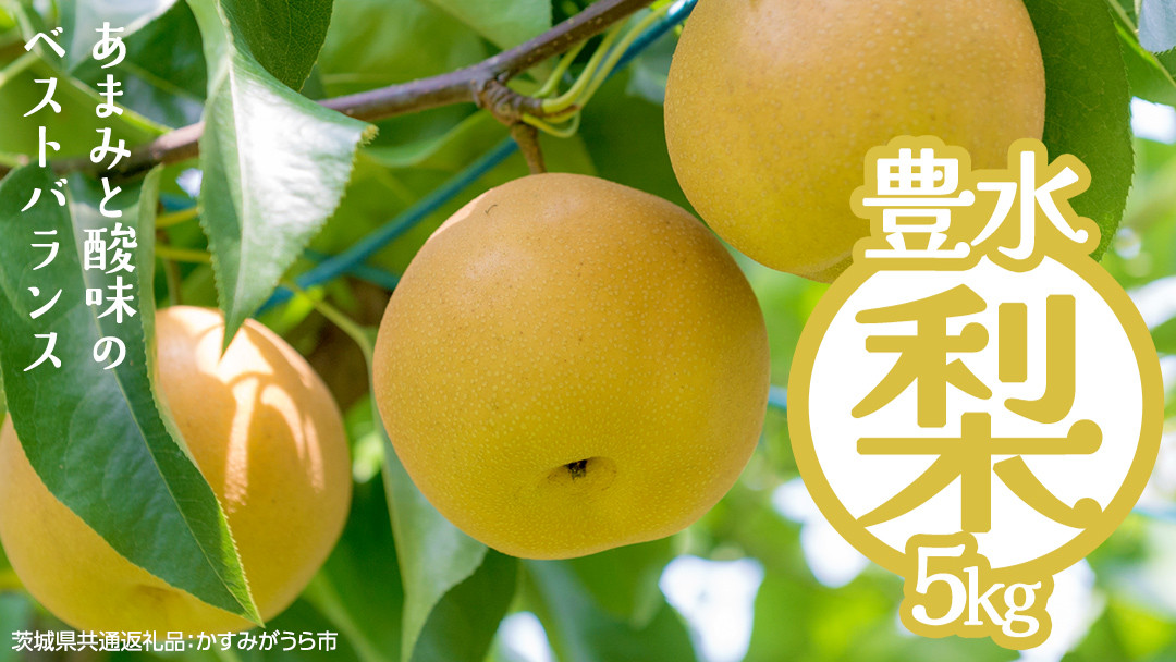 
            豊水 約5kg（茨城県共通返礼品：かすみがうら市） 【2026年9月上旬発送開始】 梨 数量限定 なし ナシ フルーツ 果物 旬 産地直送 [FF004sa]
          