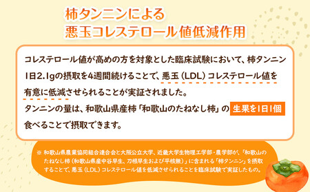 【2025年9月下旬以降発送】 和歌山県産 平核無柿 ご家庭用 約3kg 満杯詰  柿 種無し たねなし ひらたね 訳あり