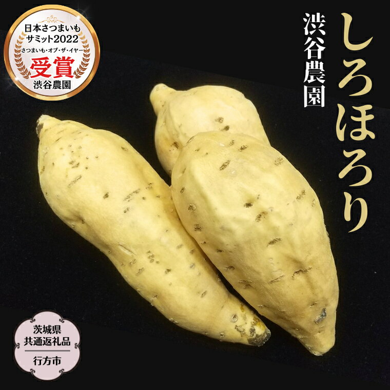 【ふるさと納税】しろほろり 〈 選べる内容量 〉 【茨城県共通返礼品／行方市】 2025年11月から発送開始 渋谷農園 さつまいも いも 芋 焼き芋