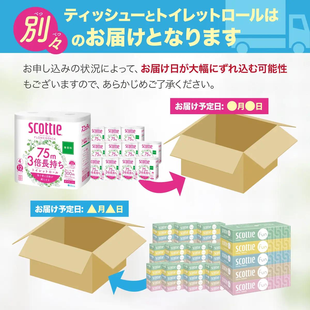 トイレットペーパー ティッシュペーパー 日用品セット2 トイレットペーパー ティッシュ 草加市