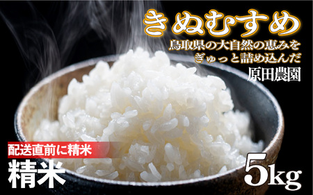 令和7年産 原田農園きぬむすめ精米 5kg｜鳥取県産 令和7年 2025年産 お米 精米 原田農園【31034】