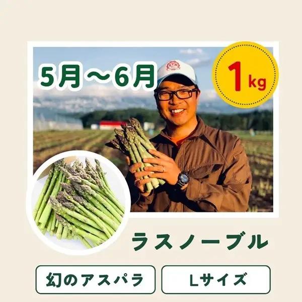 旬の野菜定期便 5回 【令和9年産予約受付】 美瑛の四季 唐松（小）  野菜