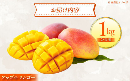 【贈答用】完熟アップルマンゴー1kg マンゴー 沖縄 果物 フルーツ ギフト 沖縄市 / 仲村農園 マンゴージュース マンゴープリン[BCCU002]