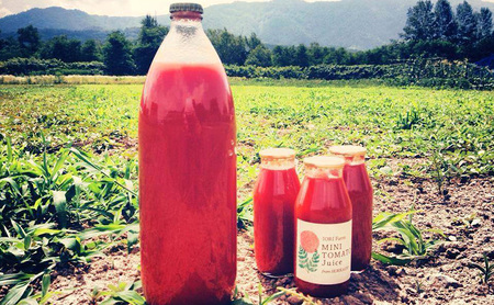 北海道仁木町産 ミニトマト100％ジュース 180ml×5本 栽培期間中 除草剤・化学農薬・化学肥料不使用 野菜ジュース 果汁飲料 野菜飲料 野菜 [iori farm hokkaido]