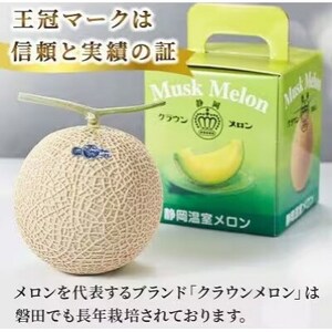 【毎月定期便】クラウンメロン(白等級)1玉・8ヵ月毎月お届け全8回【配送不可地域：離島・北海道・沖縄県】【4069567】