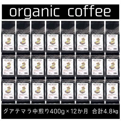 ふるさと納税 福岡市 【毎月定期便】ANDTHESOIL.焙煎オーガニックコーヒー豆GUA中煎り400g ME35全12回