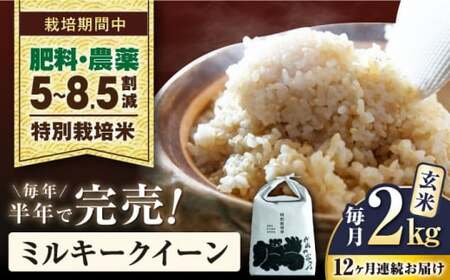 令和8年産 新米 【全12回】ミルキークイーン 2kg 玄米 特別栽培米 [AQCP027]