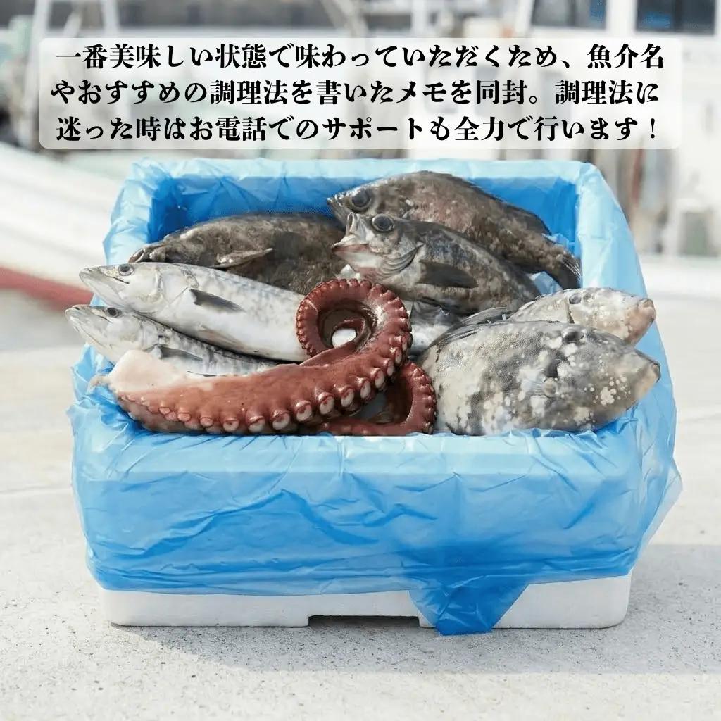 三陸の鮮魚便 2人~3人用 冷蔵 