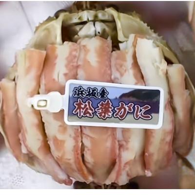 ふるさと納税 京丹後市 松葉ガニ甲羅盛　4L