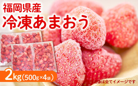 【4月以降発送】冷凍 あまおう苺 2kg （約500g×4袋） 《築上町》【南国フルーツ株式会社】 果物 苺 いちご あまおう[ABET002]