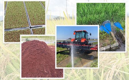 【令和7年産先行予約】山形県庄内産　特別栽培米つや姫 精米 10kg （10㎏×1袋）　野々ファーム