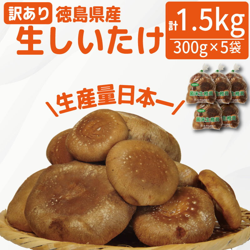 【ふるさと納税】 訳あり しいたけ 生 1.5kg 300g×5袋 徳島県産 国産 きのこ 茸 菌床椎茸 菌床栽培 菌糸 椎茸 生しいたけ 野菜 産地直送 ビタミンD 食物繊維 グアニル酸 低カロリー 健康 ダイエット 美容 出汁 鍋 煮物 味噌汁 うどん 徳島 小松島