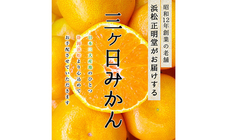 三ヶ日ミカエース 三ヶ日みかん 早生 Mサイズ 特選品4kg(36個前後)  ミカン 果物 くだもの フルーツ 甘い 静岡県 浜松市 果物類 柑橘類 