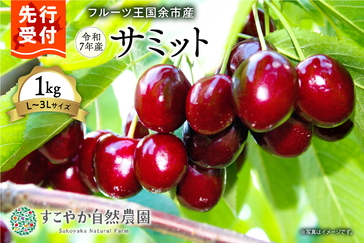 
            2025年発送【先行予約】令和7年産 サミット【Ｌ～3Lサイズ】1Kg【すこやか自然農園】
          