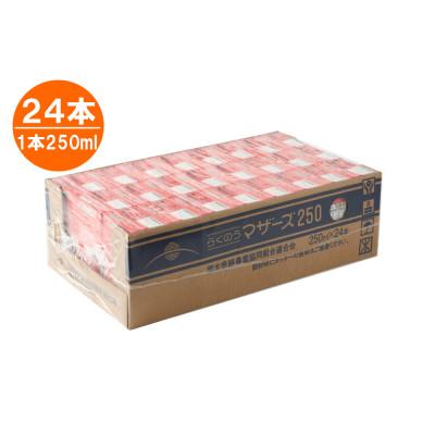 ふるさと納税 菊池市 いちご250ml×24本 |  | 01