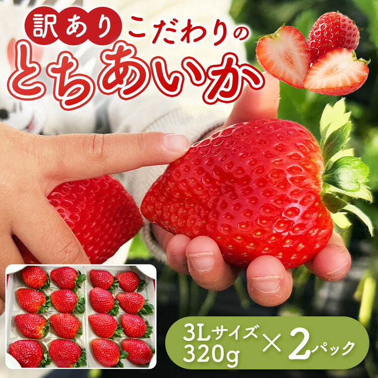 【ふるさと納税】「訳あり」とちあいか 3Lサイズ 320g×2パック ｜ 訳あり とちあいか いちご 苺 栃木県 果物 フルーツ ※2027年1月～発送