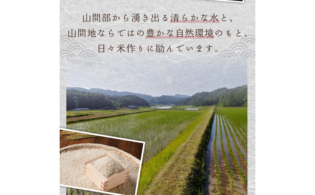 2026年産 京都・久美浜三谷産 丹後コシヒカリ「三谷幸米」 玄米 10kg ふるさと納税 コシヒカリ 新米 令和8年産 ふるさと納税 玄米　MM00023